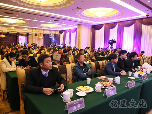 耀江天鹅堡别墅区品鉴会4