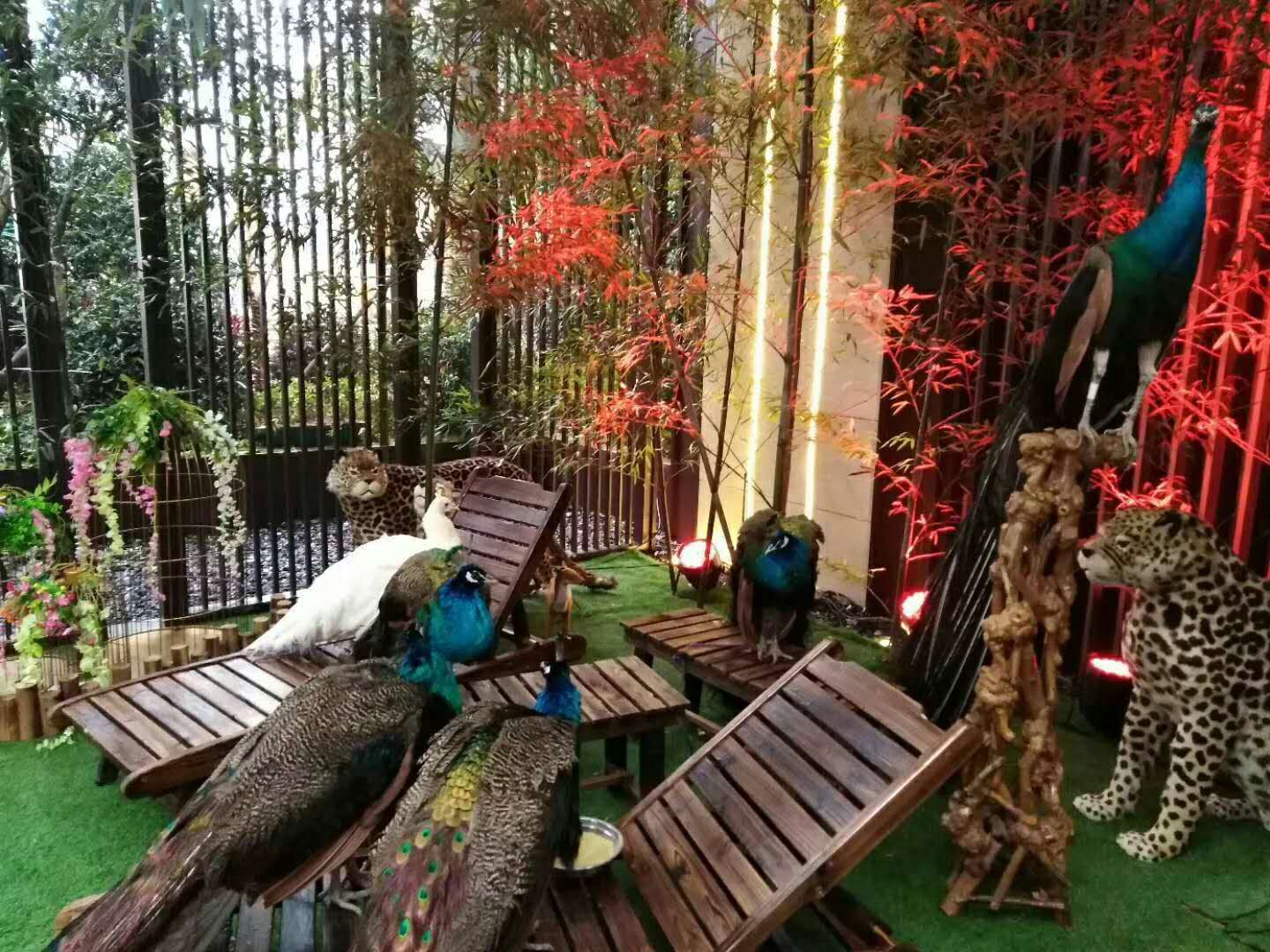 环境布置